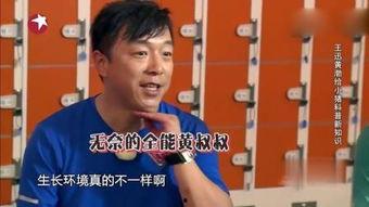 上位2视频,揭秘职场晋升的法则与智慧