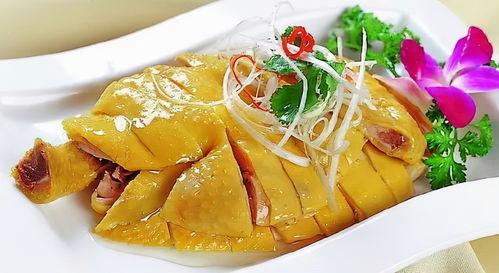 蒸鸡美团爆料怎么做视频,视频制作攻略，轻松上手短视频创作