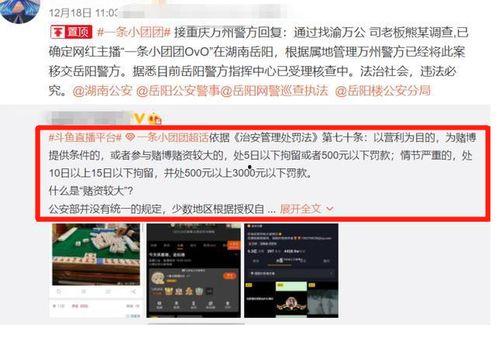 一条小团团最新爆料,揭秘娱乐圈惊人内幕！